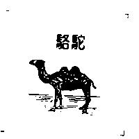 駱駝及圖