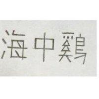 海中鷄
