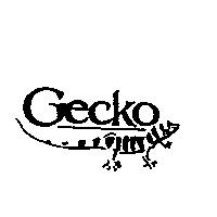 GECKO 及圖