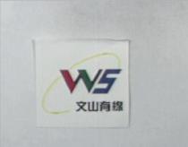 文山有線及 WS