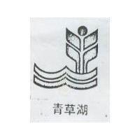 青草湖及圖