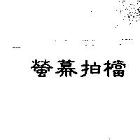 螢幕拍檔