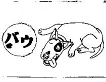 バウ及圖