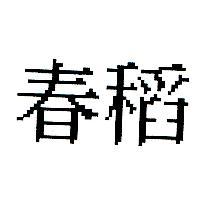 春稻