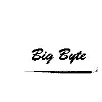 Big Byte