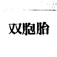 双胞胎