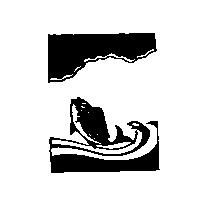 魚圖
