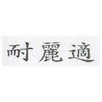 耐麗適