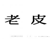 老皮