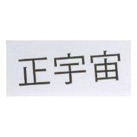 正宇宙