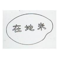 在地米