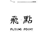 飛點 FLYING POINT