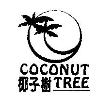 椰子樹 COCONUT TREE 及圖