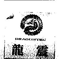 龍震及圖 DRAGONTEC