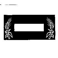 長方形內置雙穗圖形