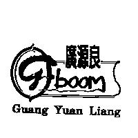 廣源良 g.boom 及圖 Guang Yuan Liang