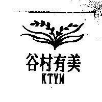 谷村有美 KTYM 及圖