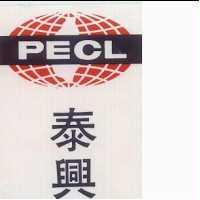 泰興工程顧問股份有限公司標章 PECL AND DEVICE