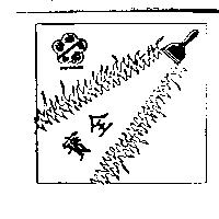 寶全 BAU CHIUAN 及圖
