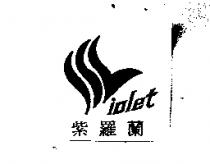 紫羅蘭 jolet 及圖