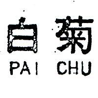 白菊 PAI CHU 
