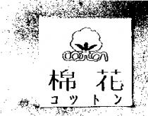 棉花及圖コツトン