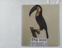 聖德羅詩及圖 NEW ROSE