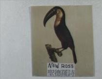聖德羅詩及圖 NEW ROSE