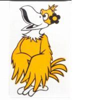 俏麗的鷹圖