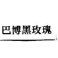 巴博黑玫瑰