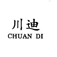 川迪 CHUAN DI