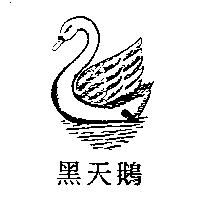 黑天鵝及圖