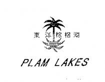 東洋棕梠湖及圖 PLAM LAKES