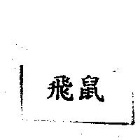 飛鼠