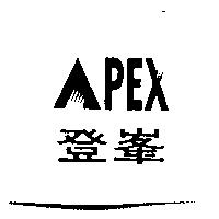 APEX 登峯