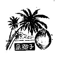 金椰子及圖