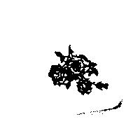 安特公司之標章