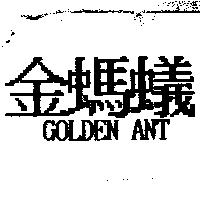 金螞蟻及 GOLDEN ANT
