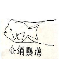 金鋼鸚鵡及圖
