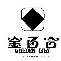 金百合 GOLDEN LILY 及圖