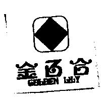 金百合 GOLDEN LILY 及圖
