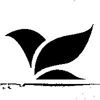 鳥設計圖