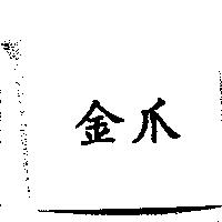 金爪