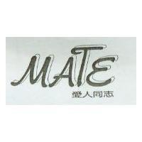 愛人同志 MATE