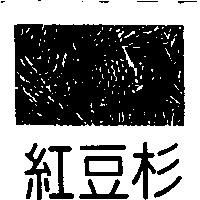 紅豆杉及圖