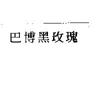 巴博黑玫瑰