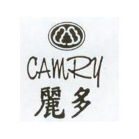 麗多及圖 CAMRY