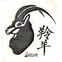 羚羊 ANTELOPE 及圖