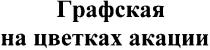 графская на цветках акации, графская, цветках, акации