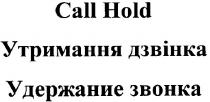 call hold, call, hold, утримання дзвінка, утримання, дзвінка, удержание звонка, удержание, звонка